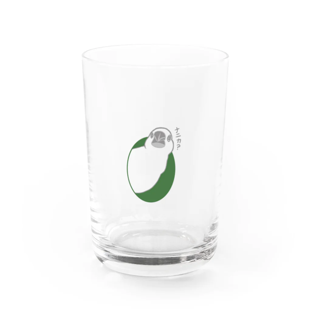 キャルルCITYののぞき文鳥 Water Glass :front