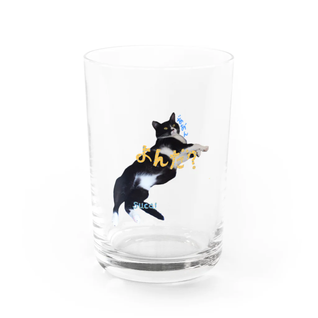 suca! mallのダルスカ Water Glass :front