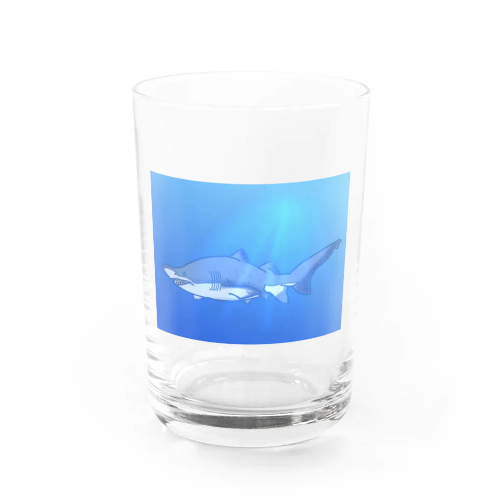 水まんじゅう屋さんのシロワニちゃん Water Glass :front