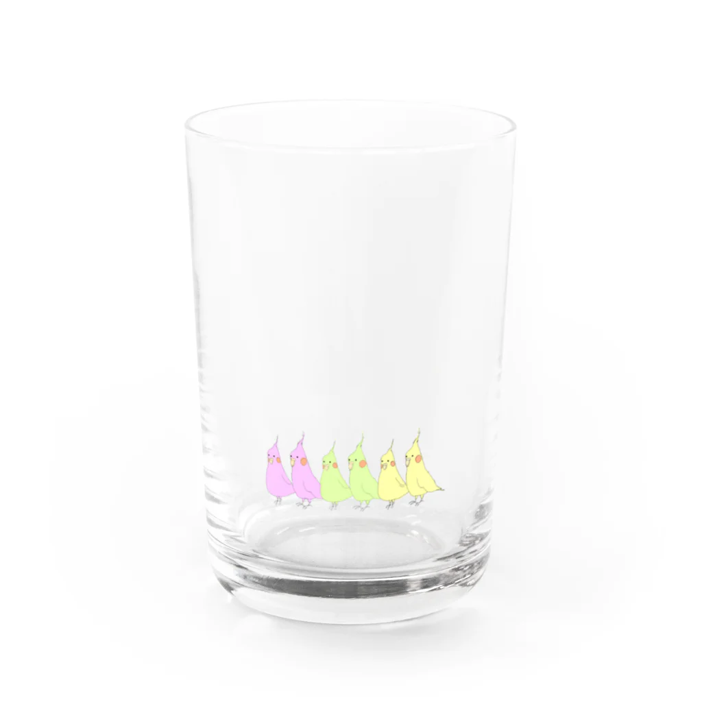 小鳥のおみせやさんの色とりどりのトリ Water Glass :front