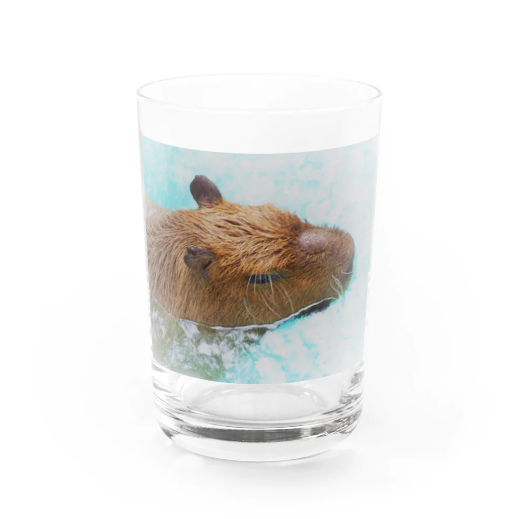 アラコ。の物憂げなカピバラ Water Glass :front