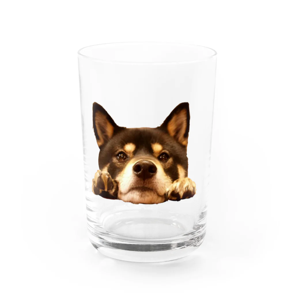 ノアノアのおねだりノアさん Water Glass :front