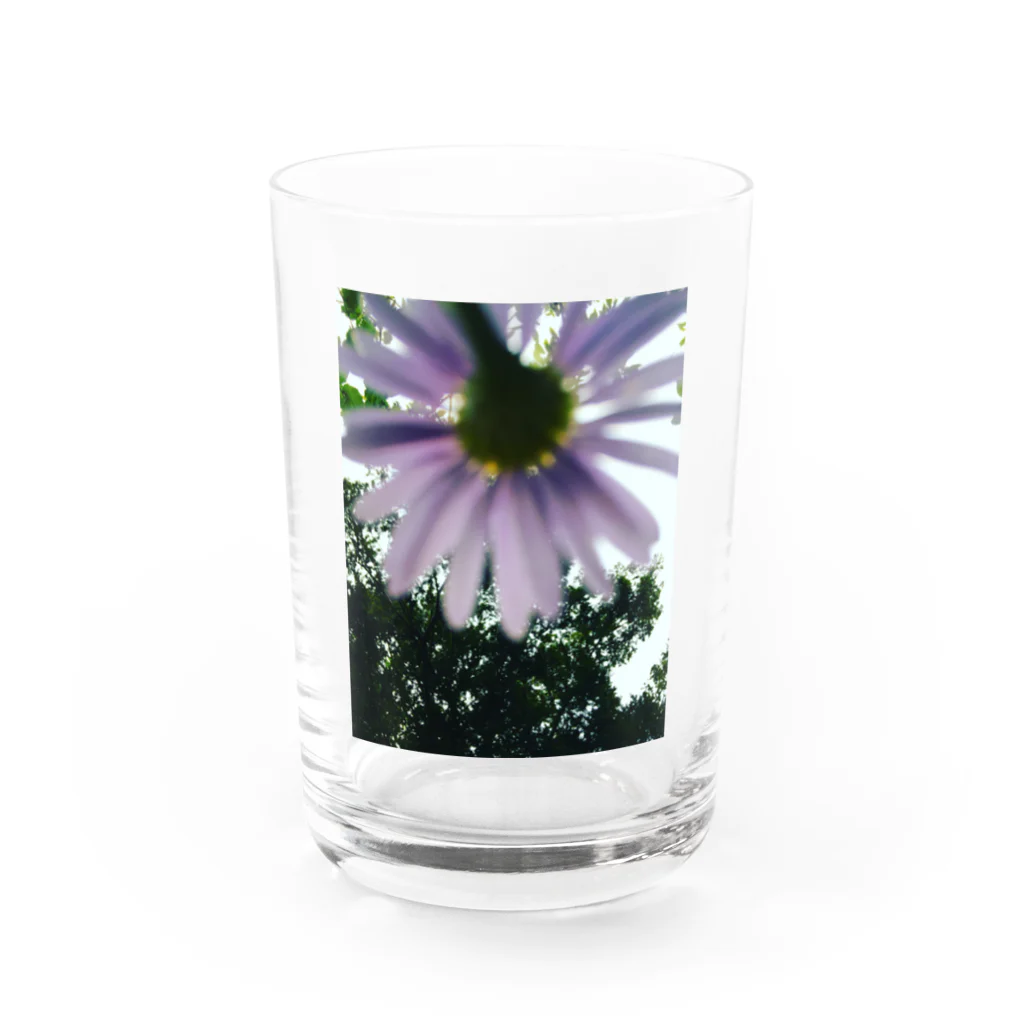 ノスタルジーテリアのflower pl グラス前面