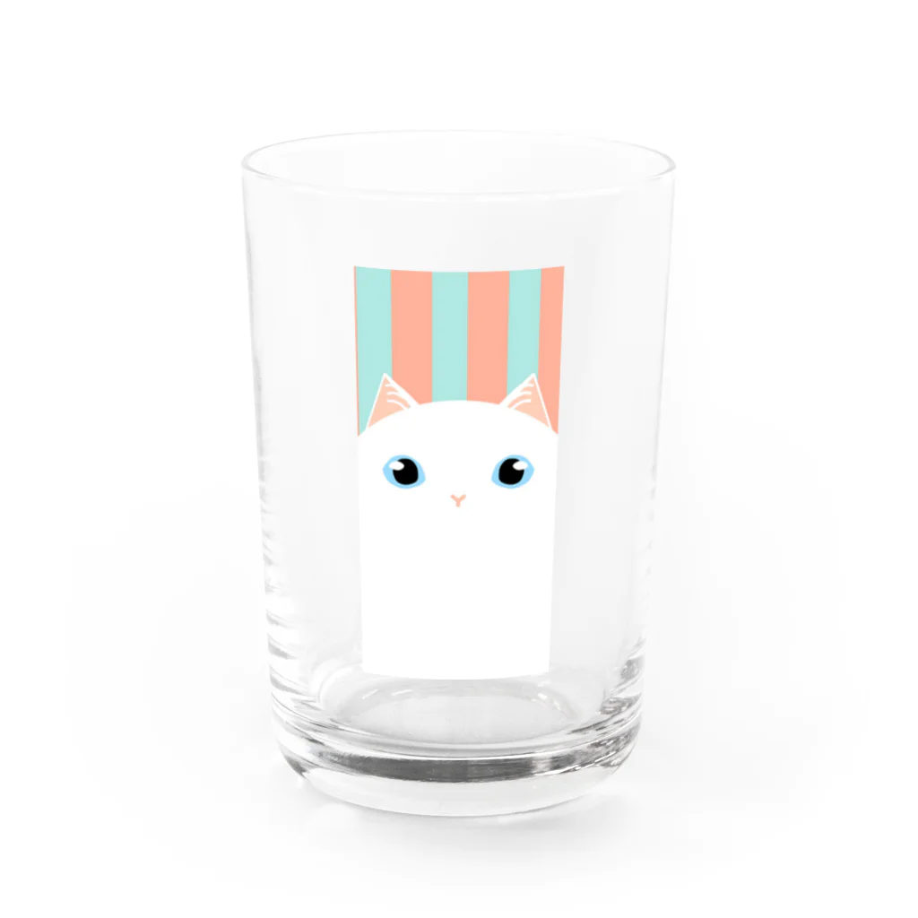 SHOP ベアたんのしろねこさん Water Glass :front