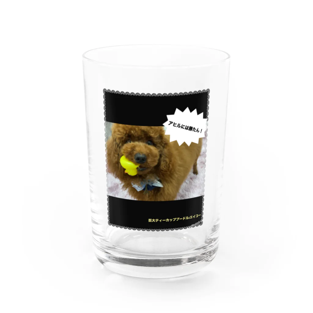 巨大ティーカッププードルの巨大ティーカッププードルのグッズ Water Glass :front