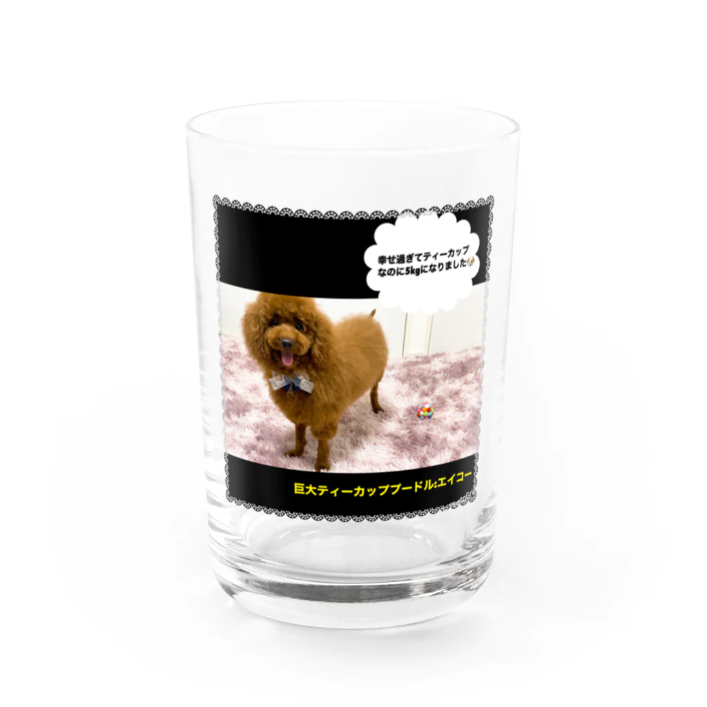 巨大ティーカッププードルの巨大ティーカッププードルのグッズ Water Glass :front