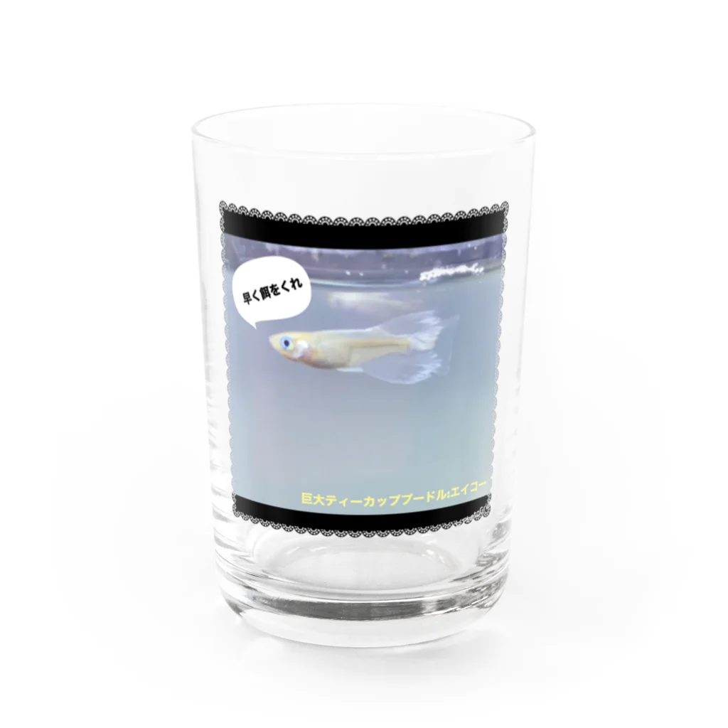 巨大ティーカッププードルの巨大ティーカッププードルのグッズ Water Glass :front