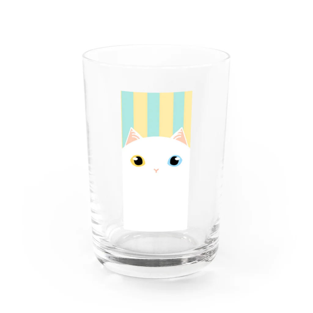 SHOP ベアたんのしろねこオッドアイさん Water Glass :front