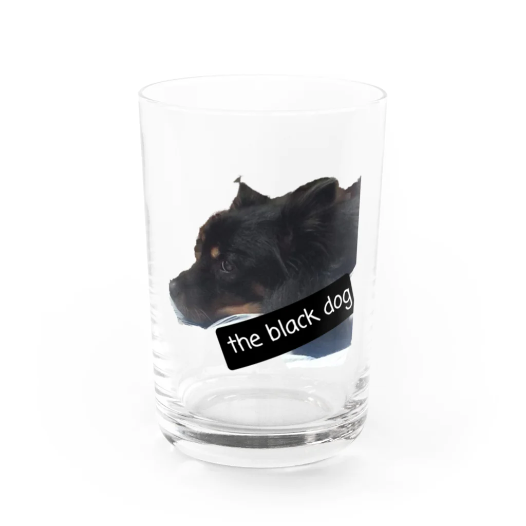 SASARiNS のThe black dog Water Glass :front