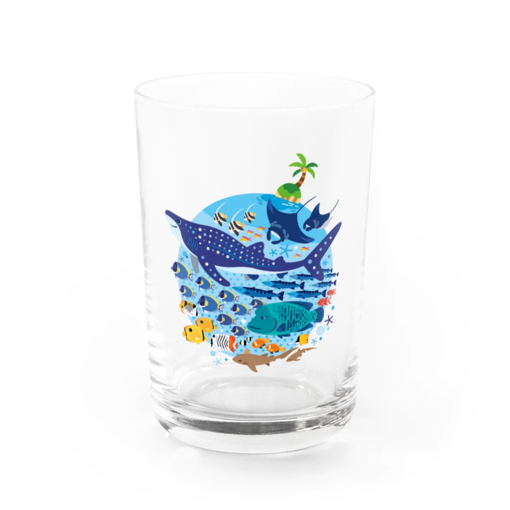 みなとまち層の暖かい海の魚たち Water Glass :front