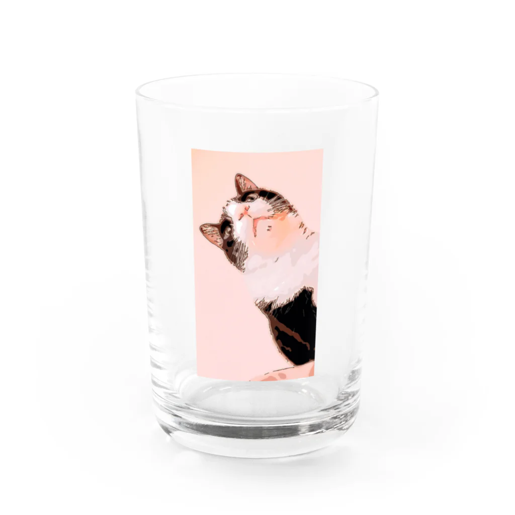 meowのハチワレ Water Glass :front