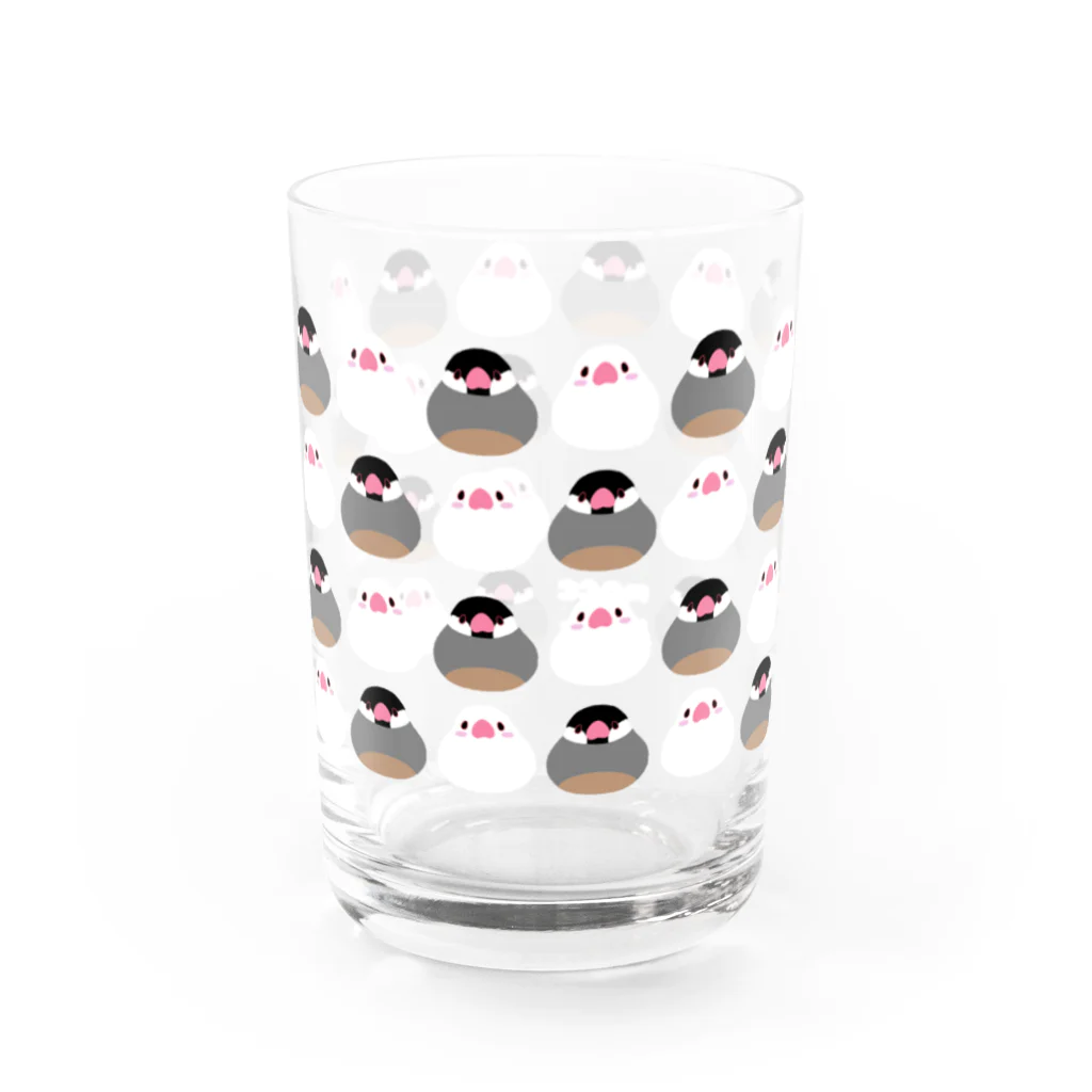 torilove_birdloverのもっちりシンプル文鳥ズ Water Glass :front