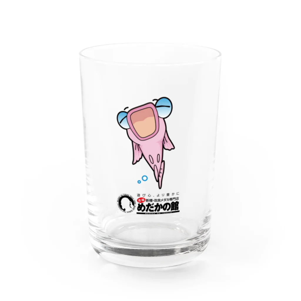 めだかの館公式グッズショップのピンクメダカの秋桜ちゃん Water Glass :front