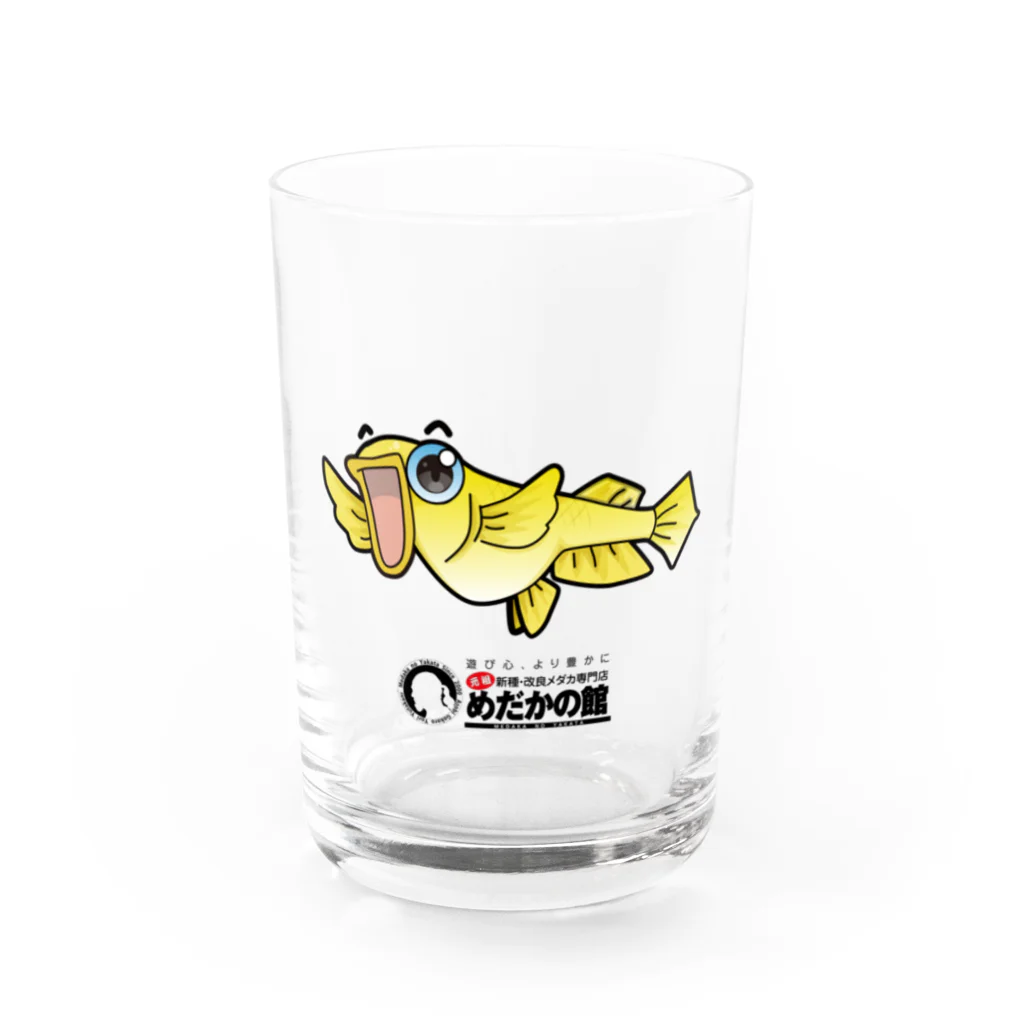 めだかの館公式グッズショップの黄金メダカの秀吉さま Water Glass :front