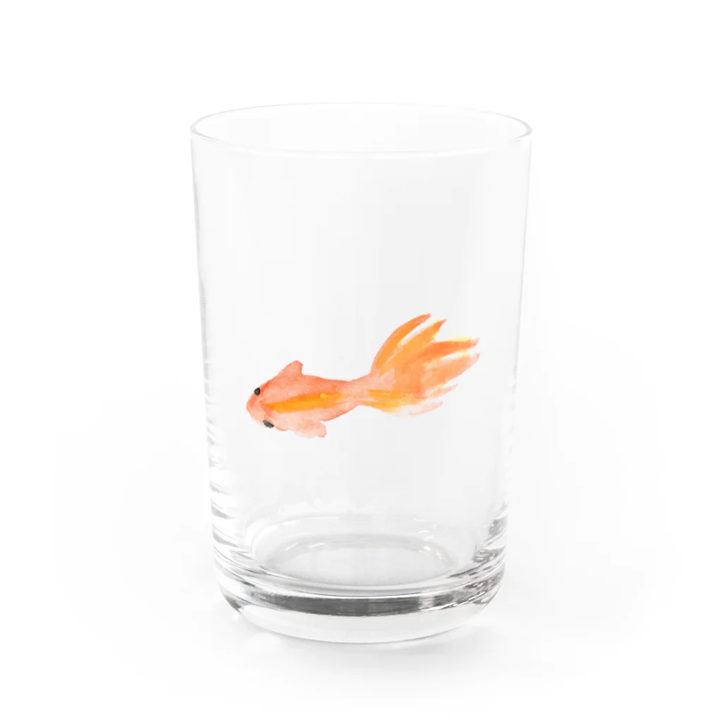 金魚のキンボの金魚 Water Glass :front