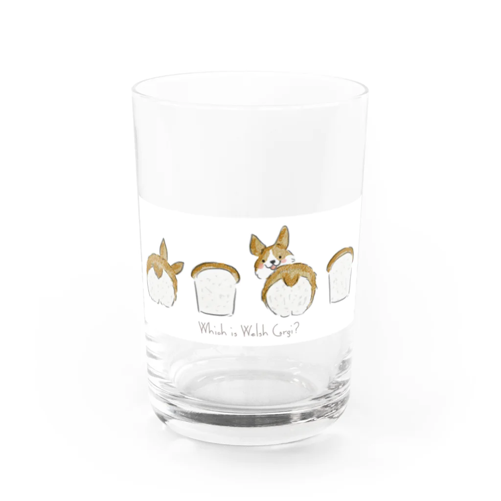 emiu_desighnのコーギーはどーこだ？ Water Glass :front