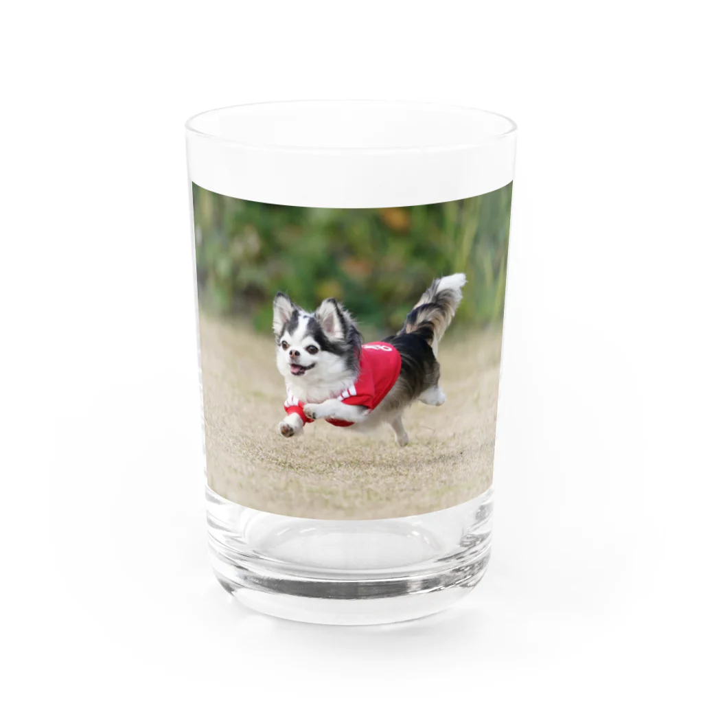 MILKY's SHOPのミルキー犬生の旅 Water Glass :front
