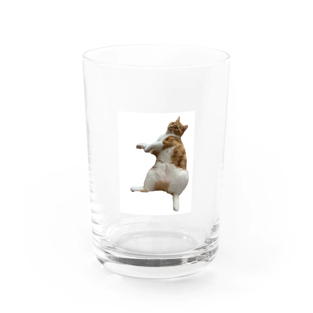 yui .のmenmaｺｯﾌﾟ! Water Glass :front