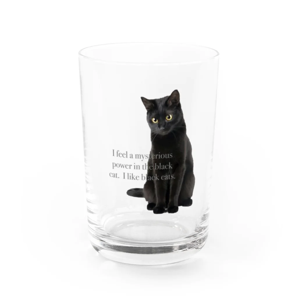 サバミケ、茶トラ、鍵しっぽ。の黒猫大好き グラス前面