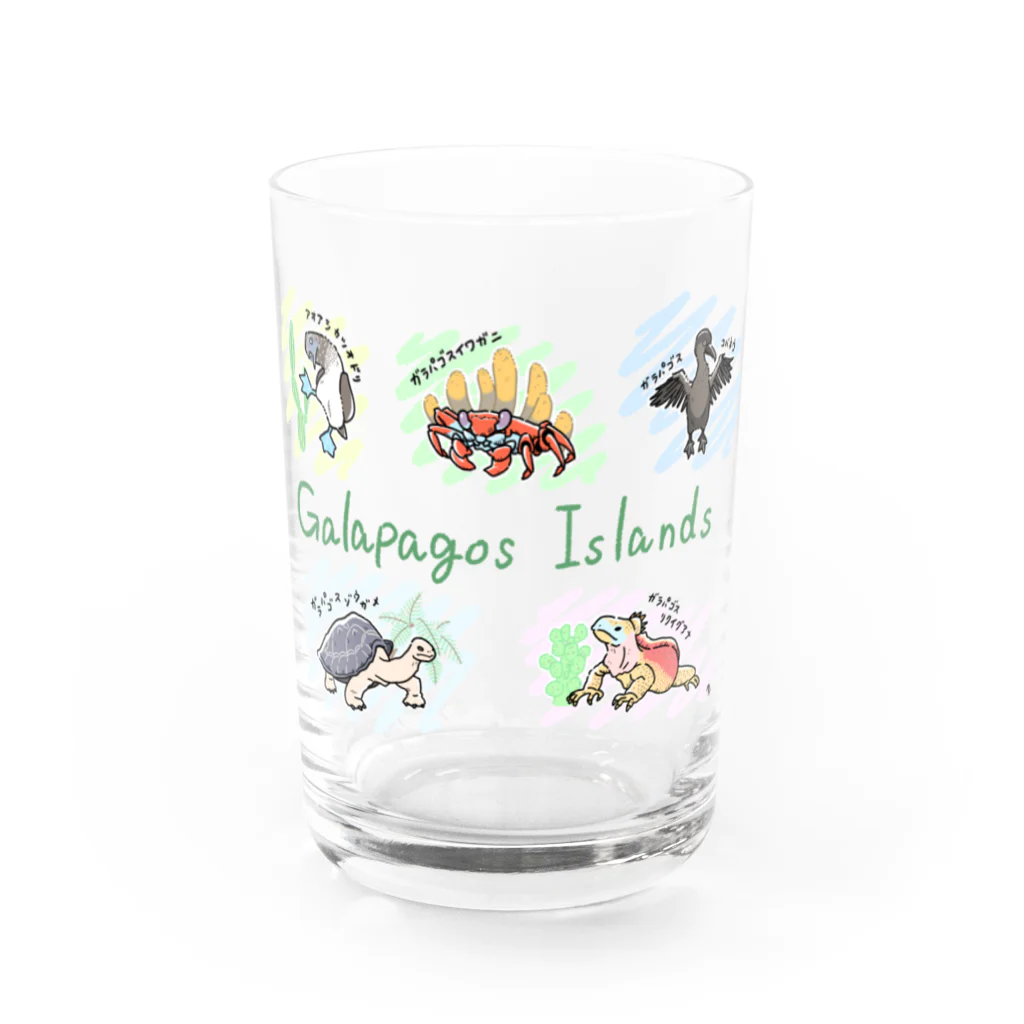 ちゅんTのガラパゴス諸島の仲間たち Water Glass :front