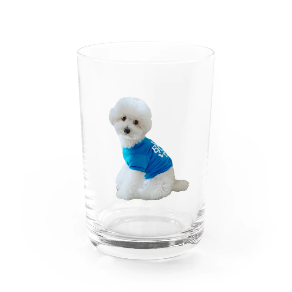 ぽんころ店のおすわりーぬ Water Glass :front