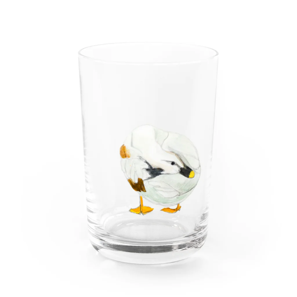 ゆずずショップのカモ Water Glass :front