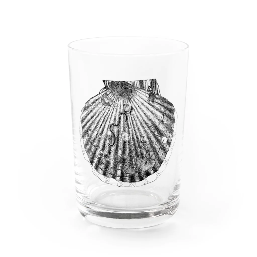 せいだいしおりのリアルホタテ Water Glass :front