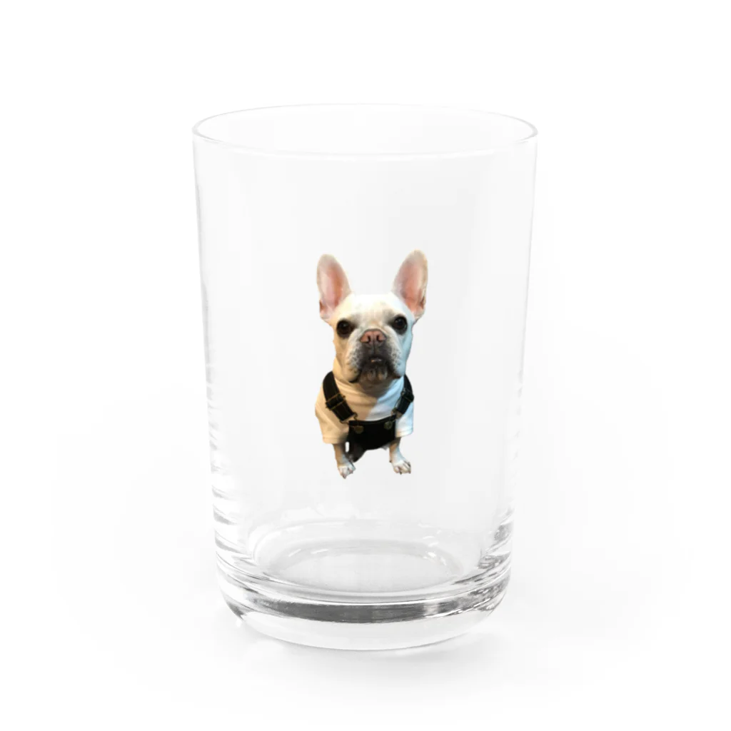 フレンチブルドッグのペグのフレンチブルドッグのペグ Water Glass :front