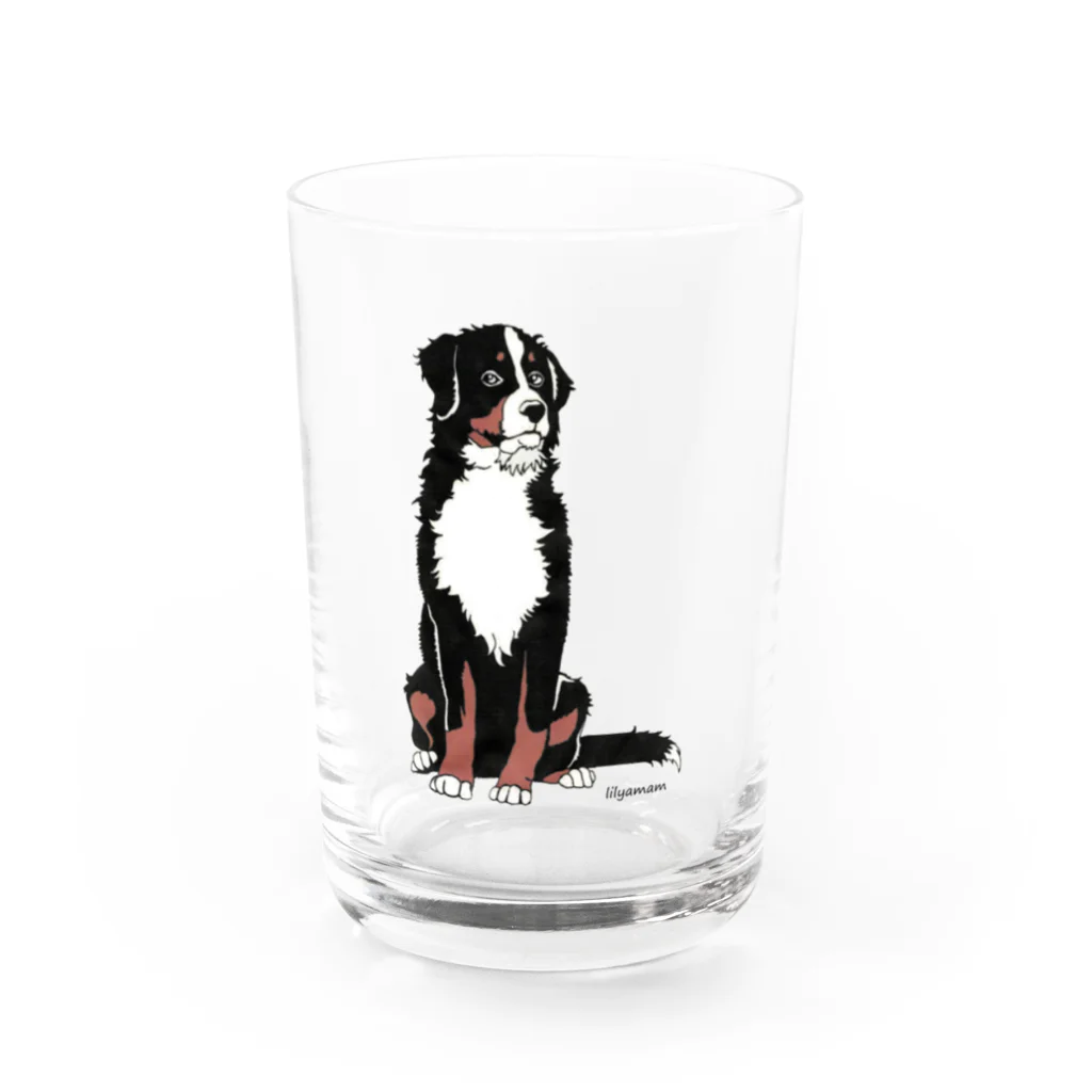 lilyamamのバーニーズマウンテンドッグ　lilyamam Water Glass :front