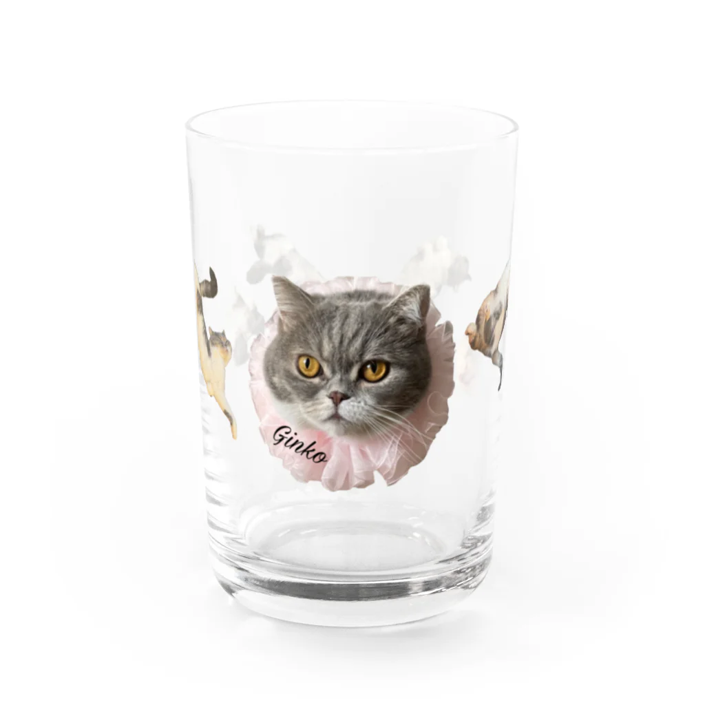 ごまわさびの銀子お嬢 Water Glass :front