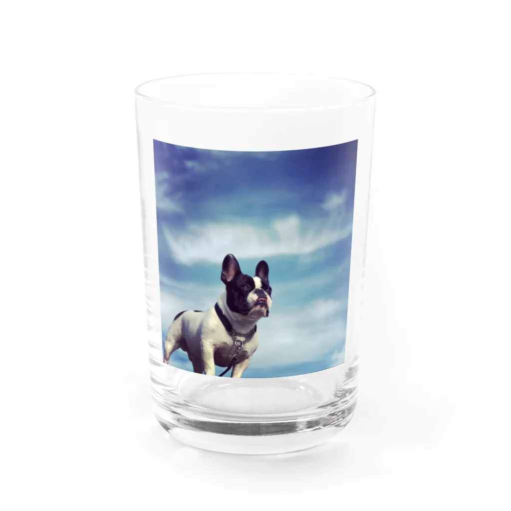 レザーウッドの青空とフレブル ゴンちゃん Water Glass :front