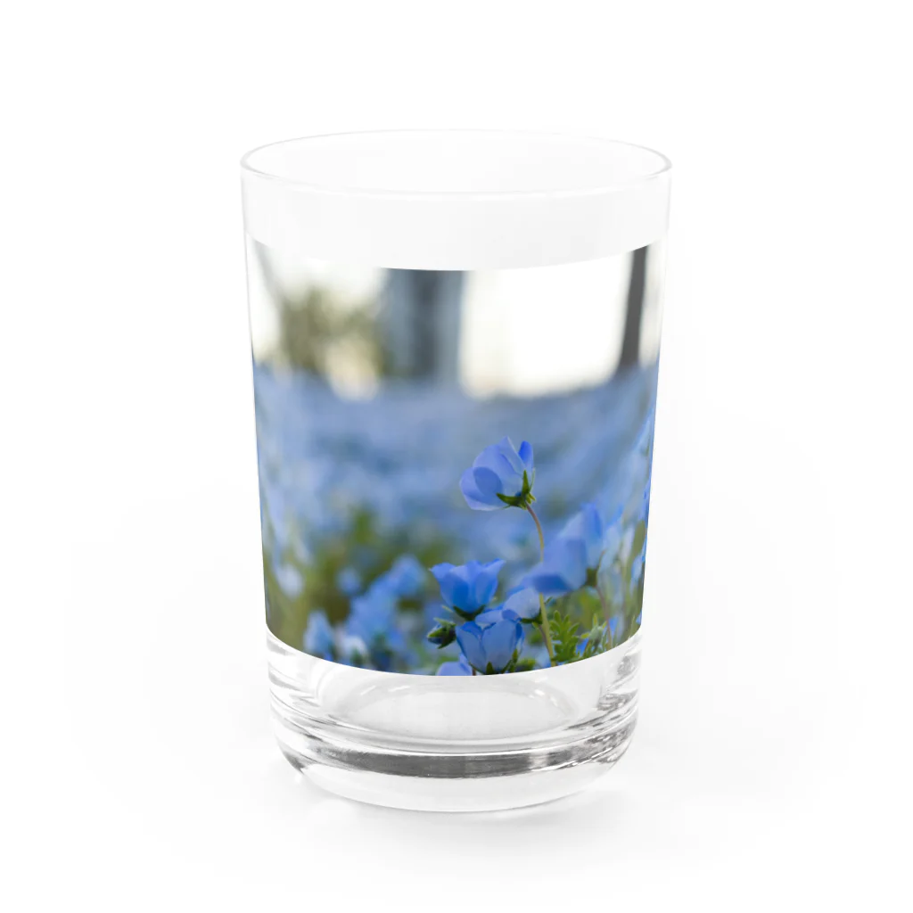 te Reneの瑠璃唐草 Water Glass :front