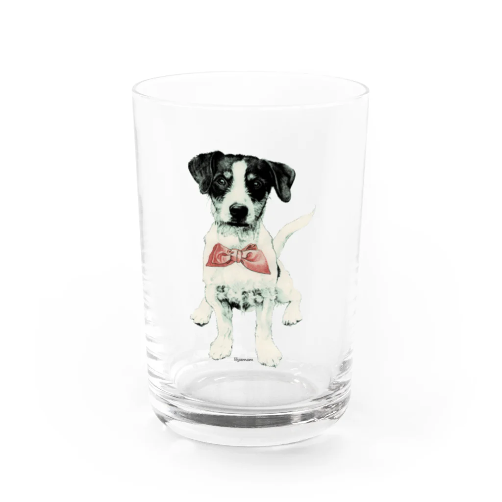 lilyamamのジャックラッセルテリア Water Glass :front