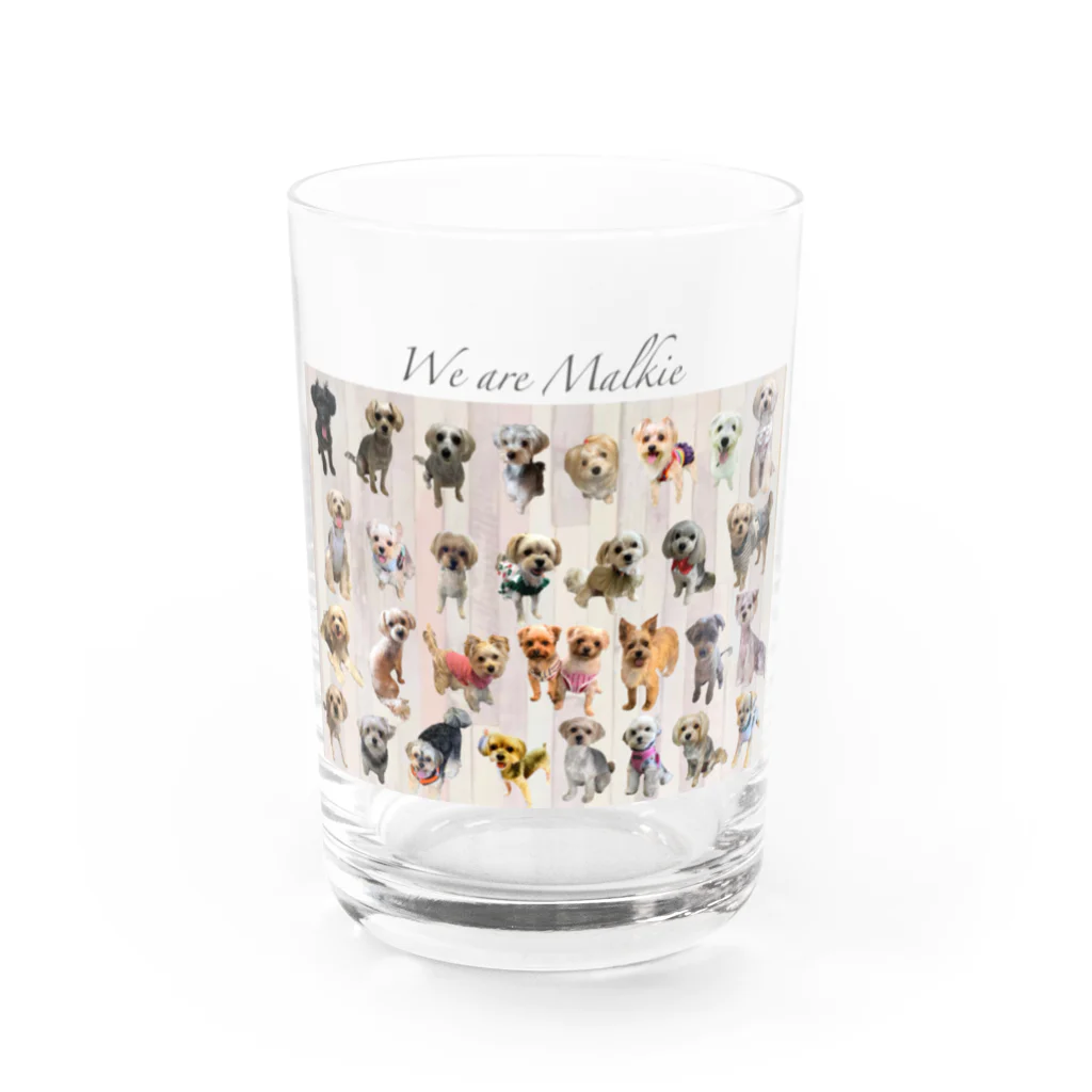 LiLunaのWe are Malkie Water Glass :front