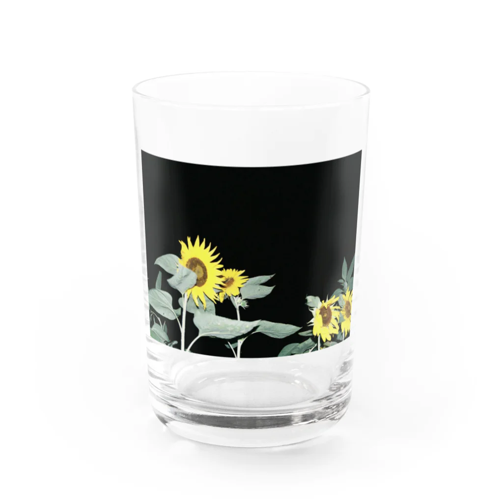 酢とレモンの夜の向日葵 Water Glass :front