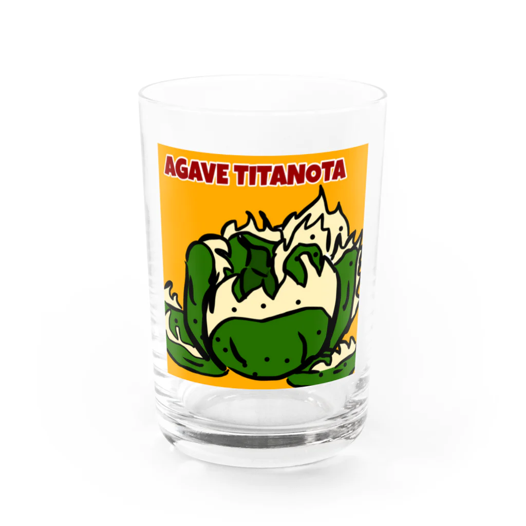 パキポキさんのAGAVETITANOTA Water Glass :front