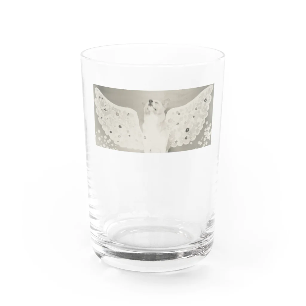 HANAMIUの羽ばたこう  Water Glass :front