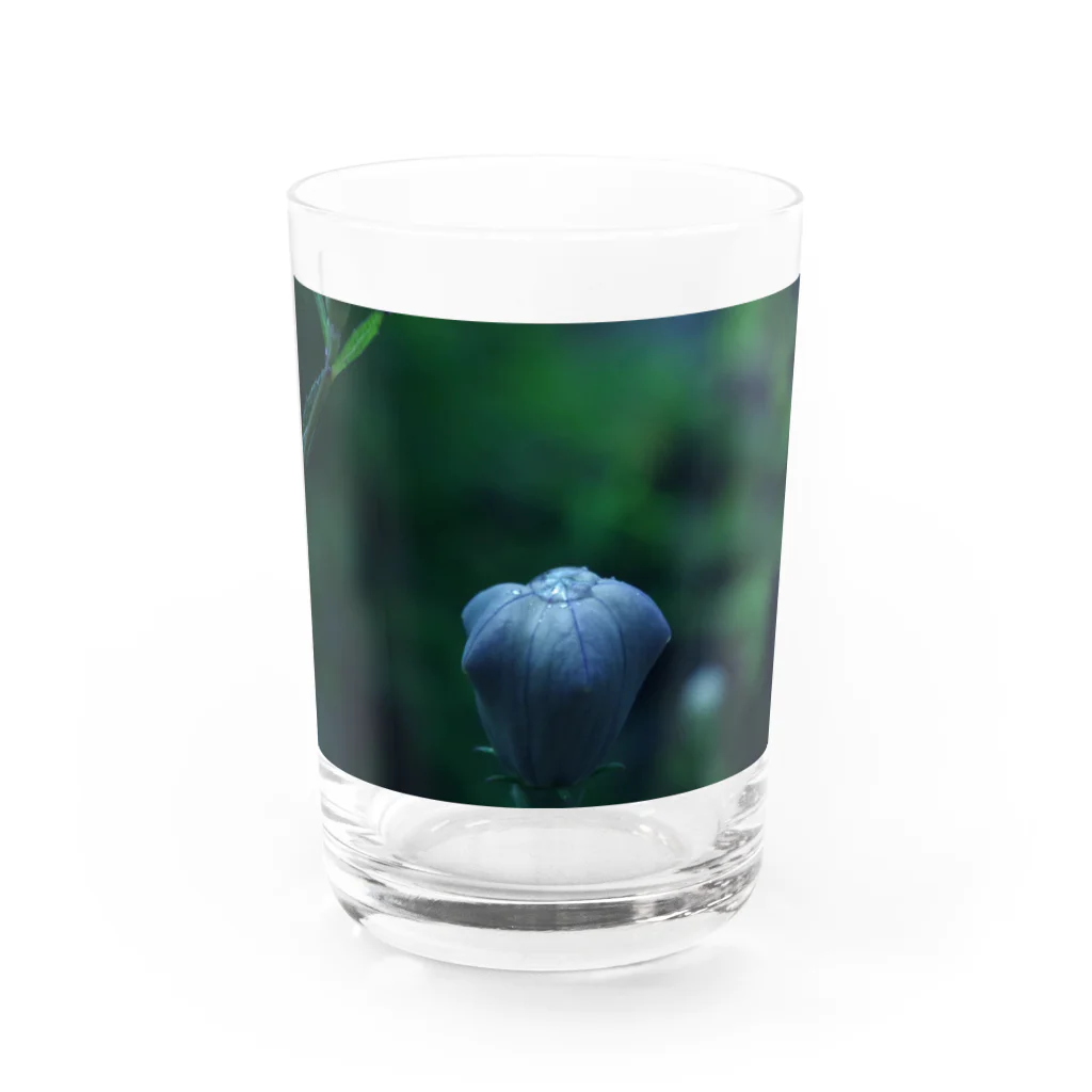 ﾛｯﾄﾓｰﾝﾄのつぼみ Water Glass :front