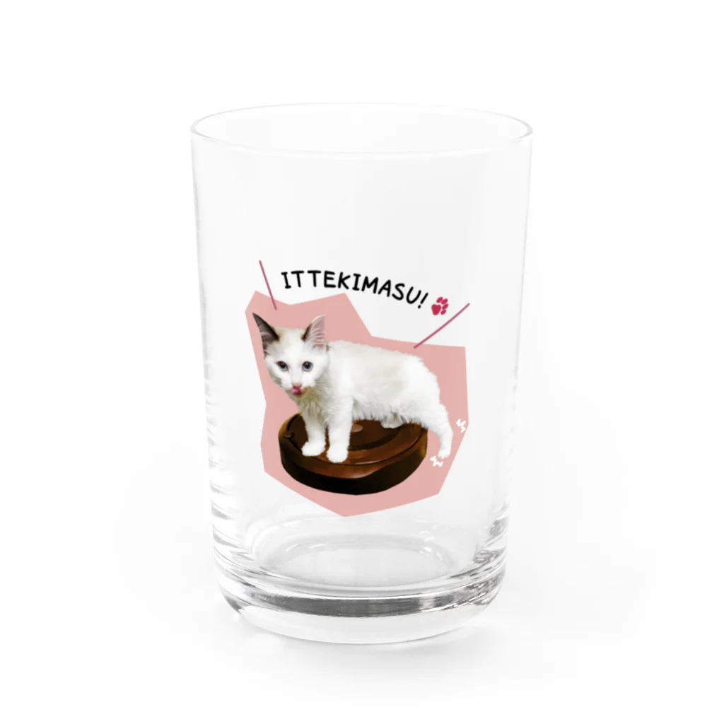 ベルとスノーとジンK2のITTEKIMASU!すーちゃん(ベルとスノーとK2です) Water Glass :front