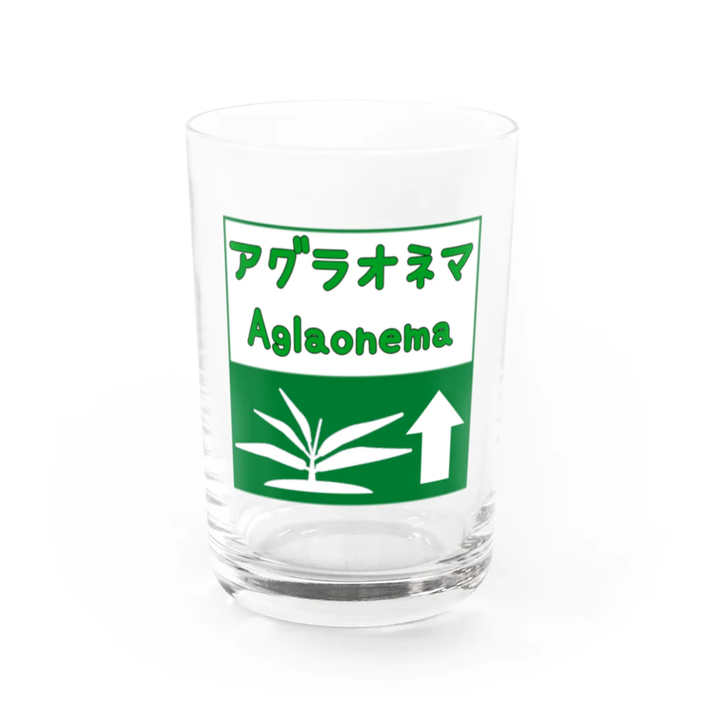 がま八のお店のアグラオネマ　高速道路標識風ピクトグラム Water Glass :front