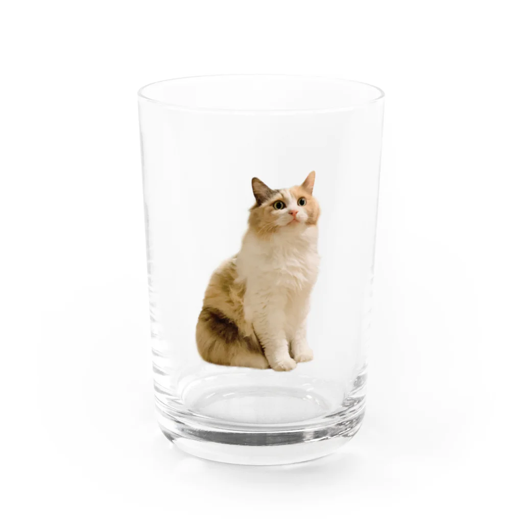 ファンシーショップ★メルちゃんのお座りメルちゃん Water Glass :front