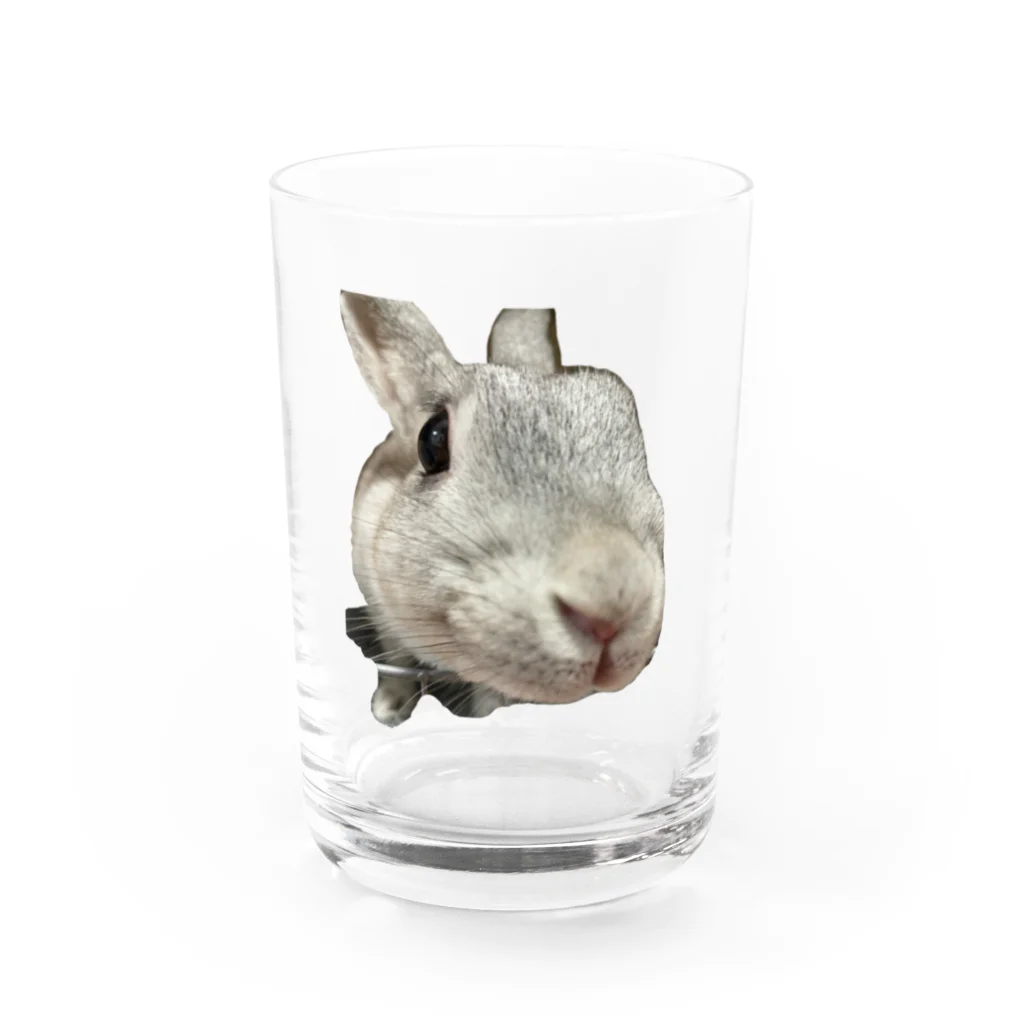 ふてくされうさぎ善のふてくされうさぎの善 Water Glass :front