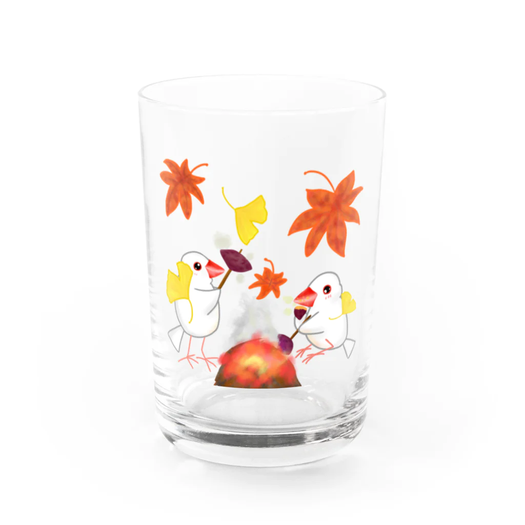 Lily bird（リリーバード）の落ち葉と焼き芋と文鳥ず Water Glass :front