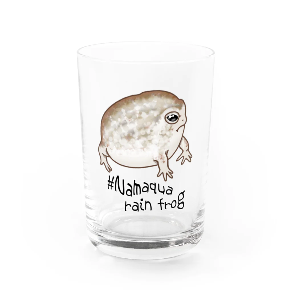 LalaHangeulのNamaqua rain frog(なまかふくらがえる) 英語バージョン Water Glass :front