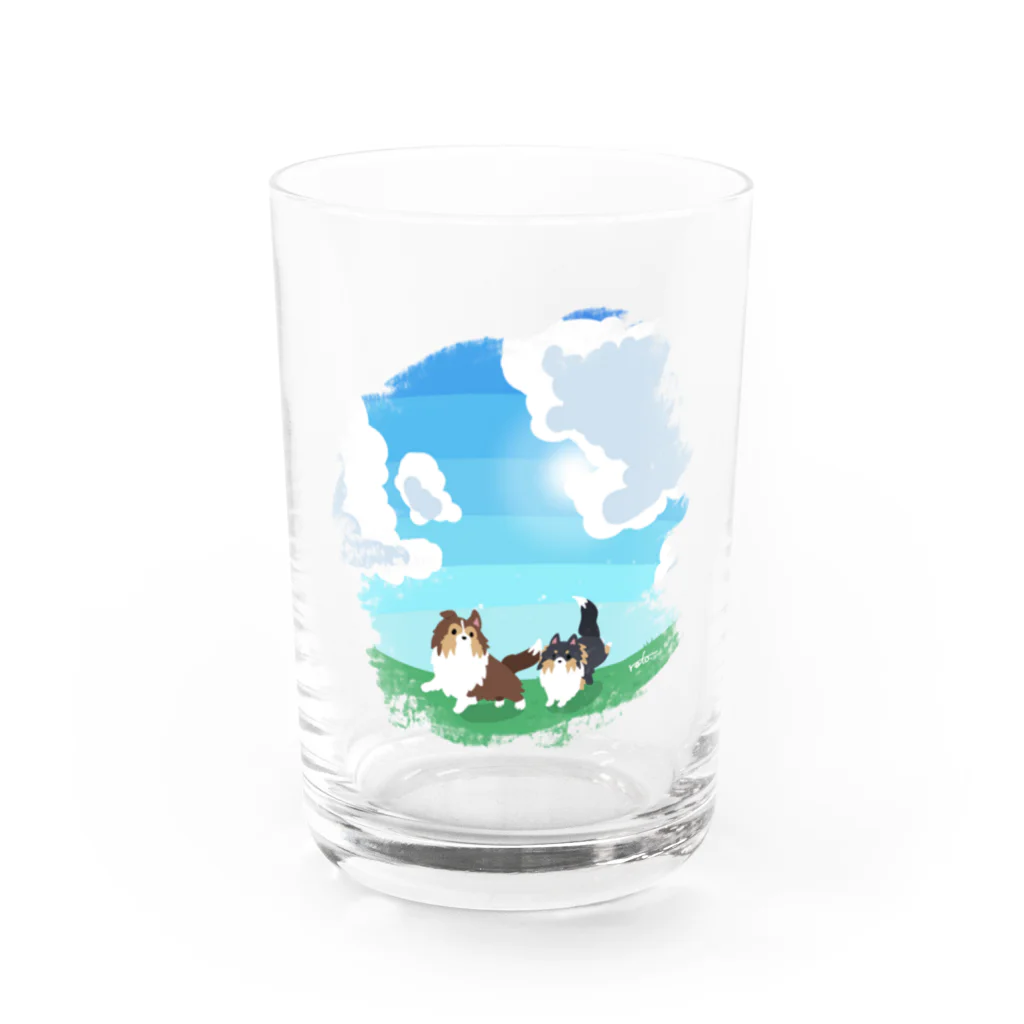 Kotetsu diary(SUZURI店)のシェルティ2匹×青空の下の草原 Water Glass :front