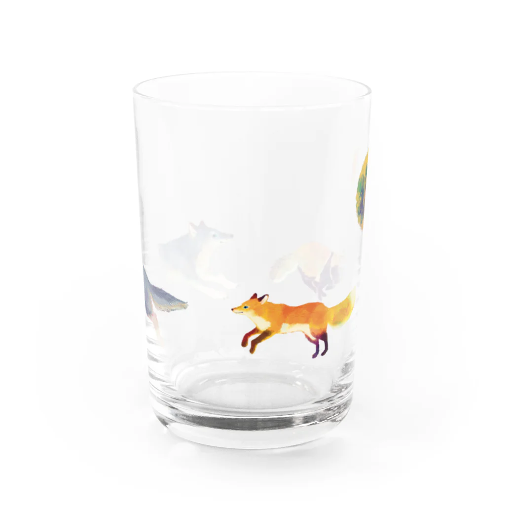 キツネ月のイヌ科の遊び Water Glass :front