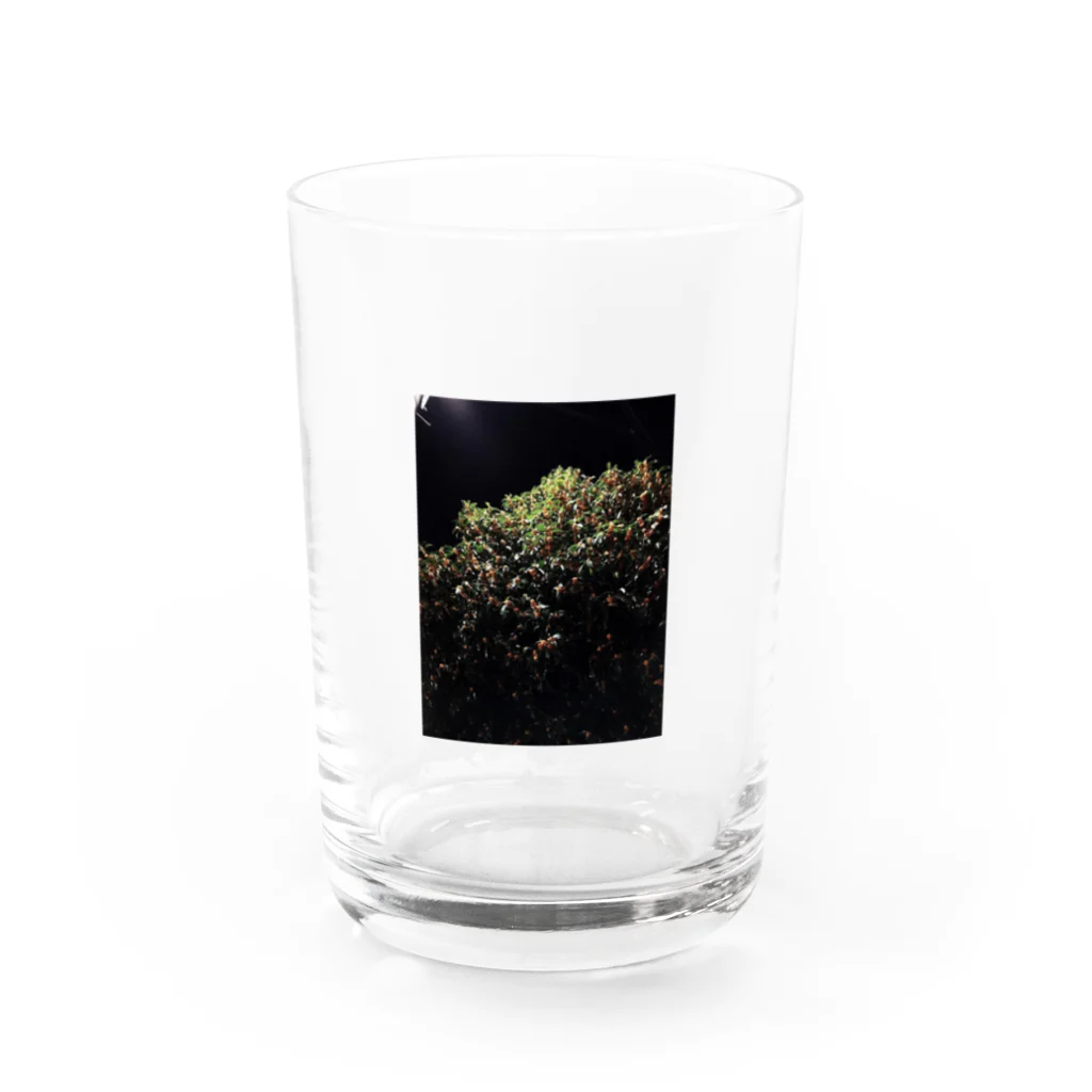 いつもの夜の金木犀 Water Glass :front