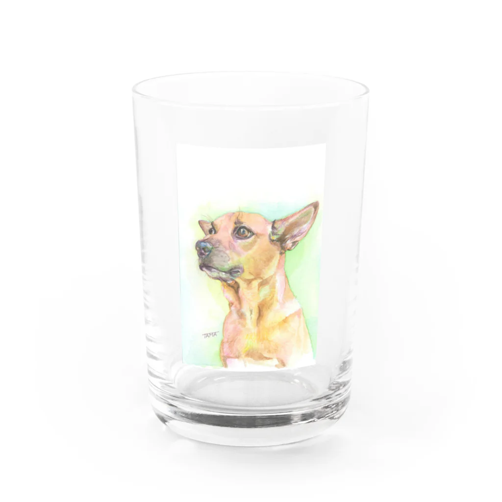 りとるたまの早く帰ってこないかな Water Glass :front