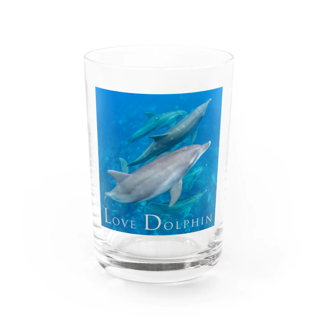 BLUE DOLPHINのLove Dolphin 5 Water Glass :front