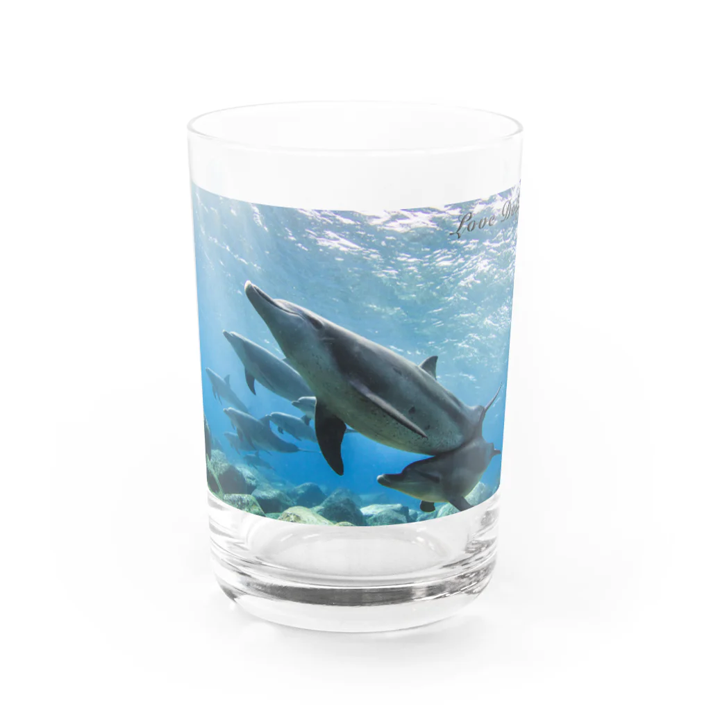 BLUE DOLPHINのLove Dolphin 4 Water Glass :front